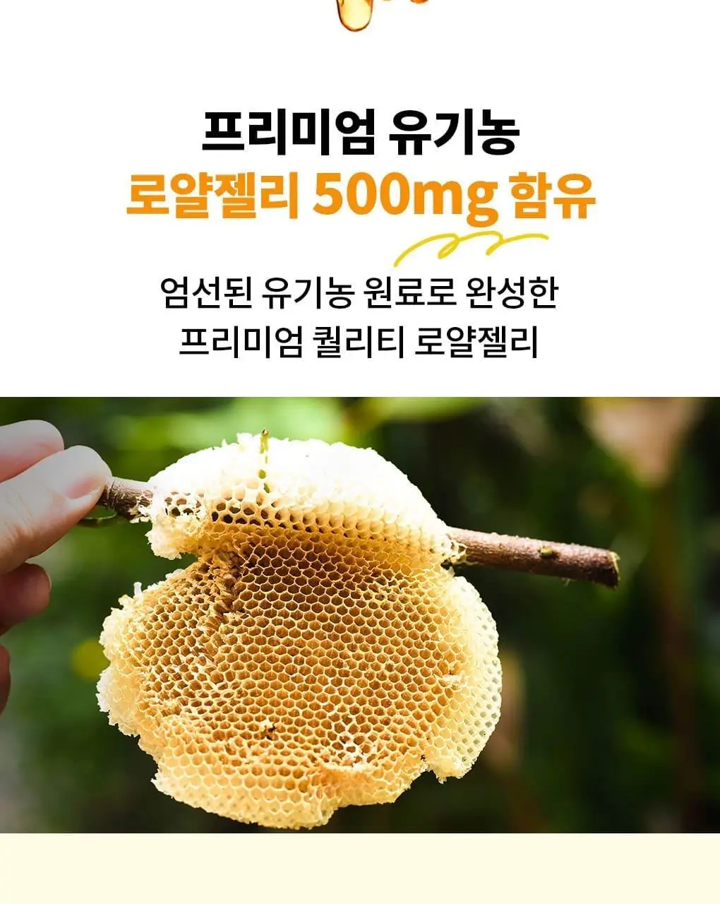 아코로얄 프리미엄 유기농 로얄젤리 에너지샷 15ml 10앰플 상세페이지 4