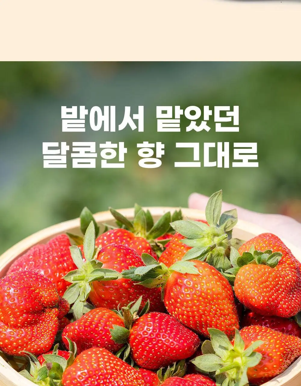 안단잼 저당 저칼로리 딸기잼 380g 상세페이지 26