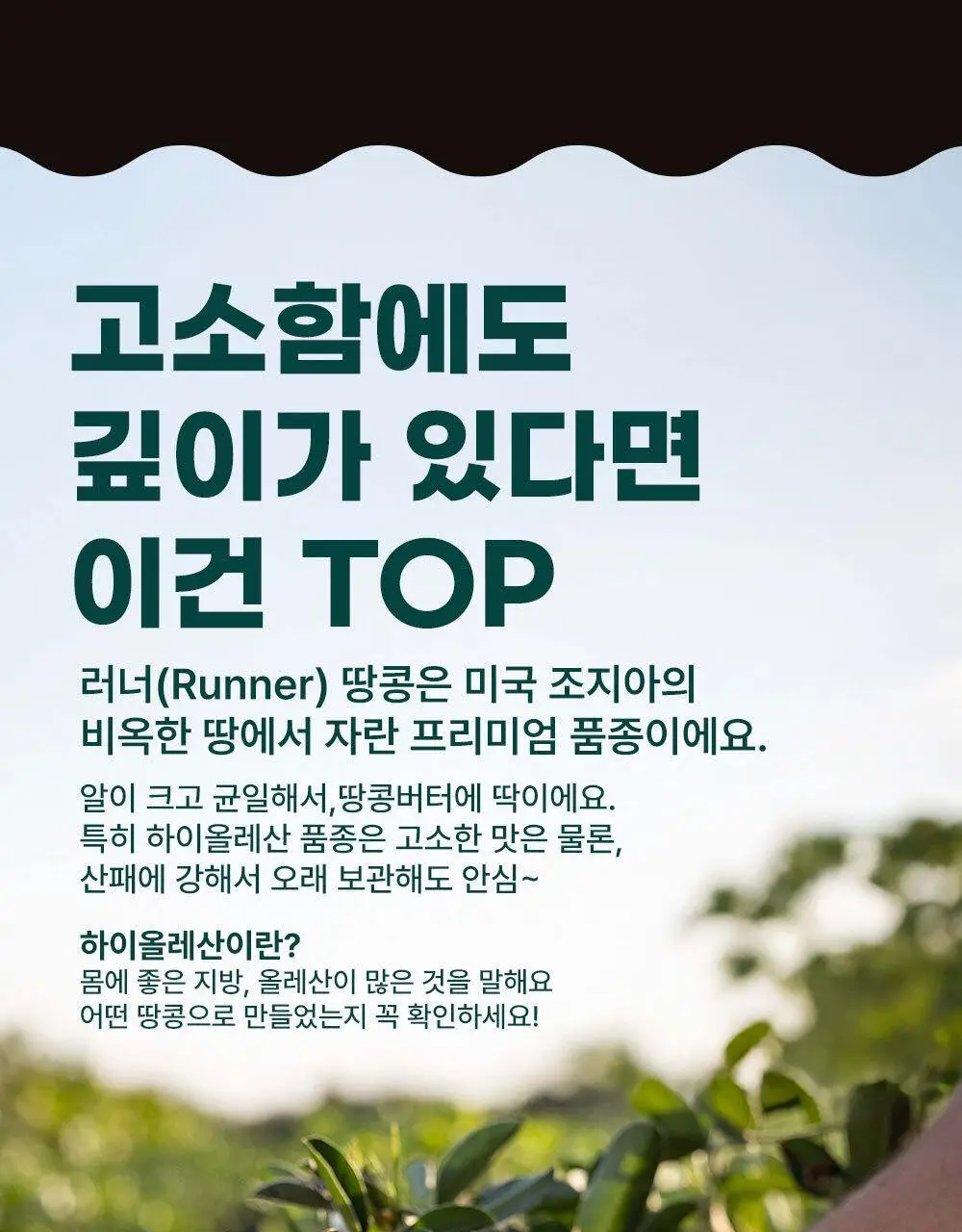 안단잼 피넛버터 크리미 500g 상세페이지 21