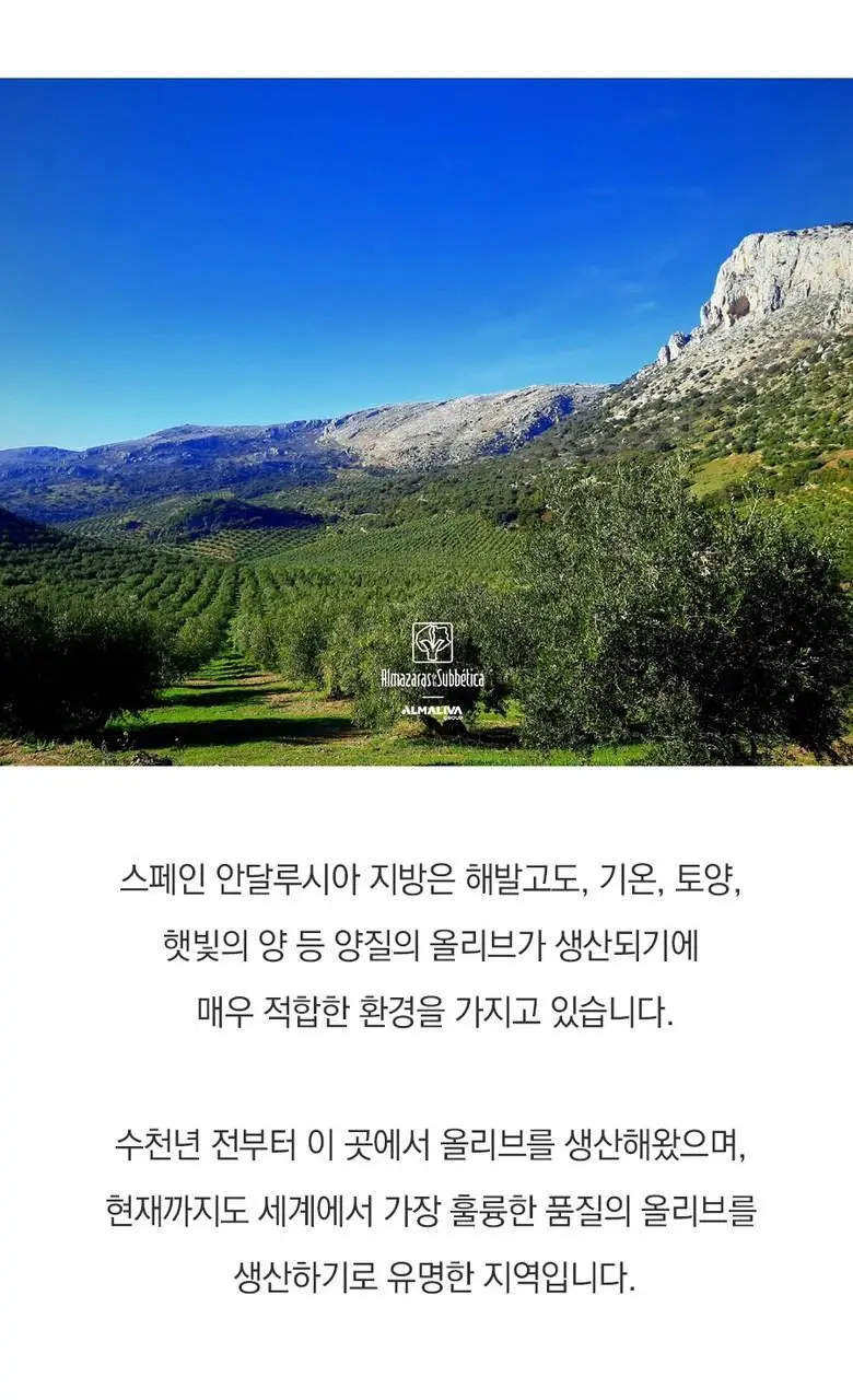 알마자라스 링콘 델라 수베티카 엑스트라버진 올리브오일 500ml 상세페이지 14