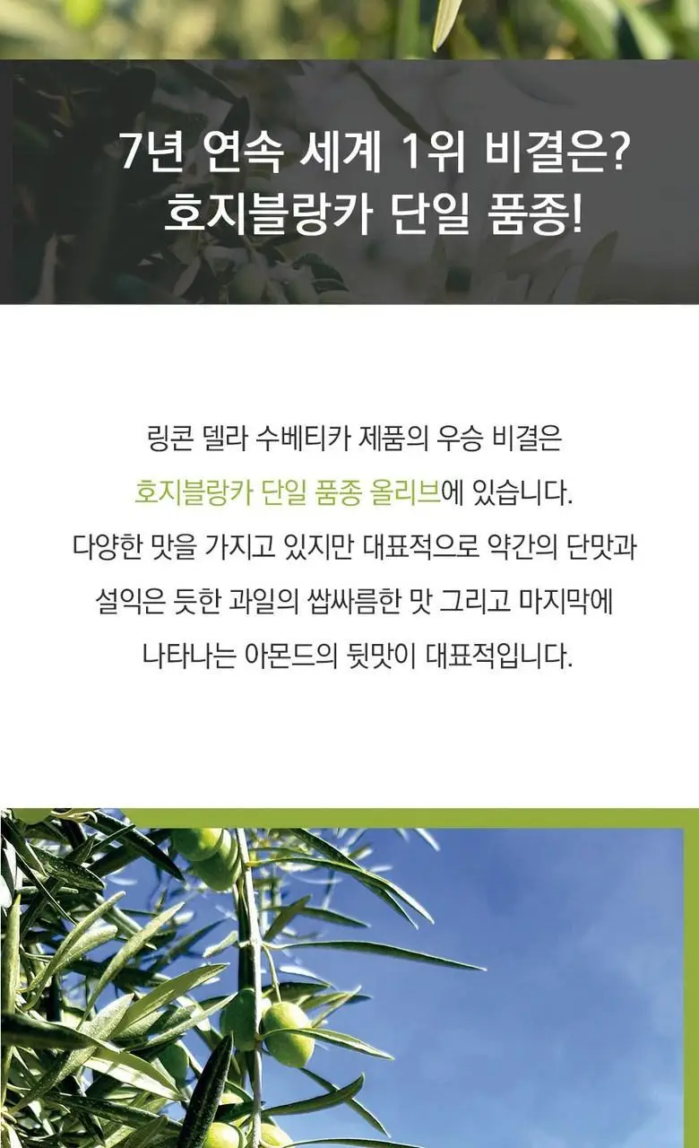 알마자라스 링콘 델라 수베티카 엑스트라버진 올리브오일 500ml 상세페이지 16