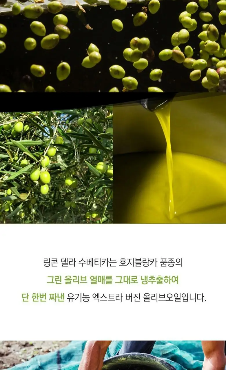 알마자라스 링콘 델라 수베티카 엑스트라버진 올리브오일 500ml 상세페이지 21
