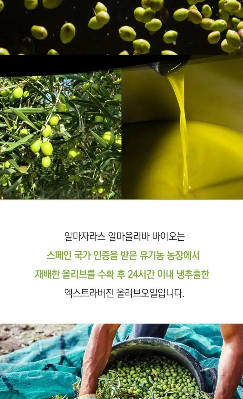 알마자라스 알마올리바 유기농 엑스트라버진 올리브오일 500ml 상세페이지 11