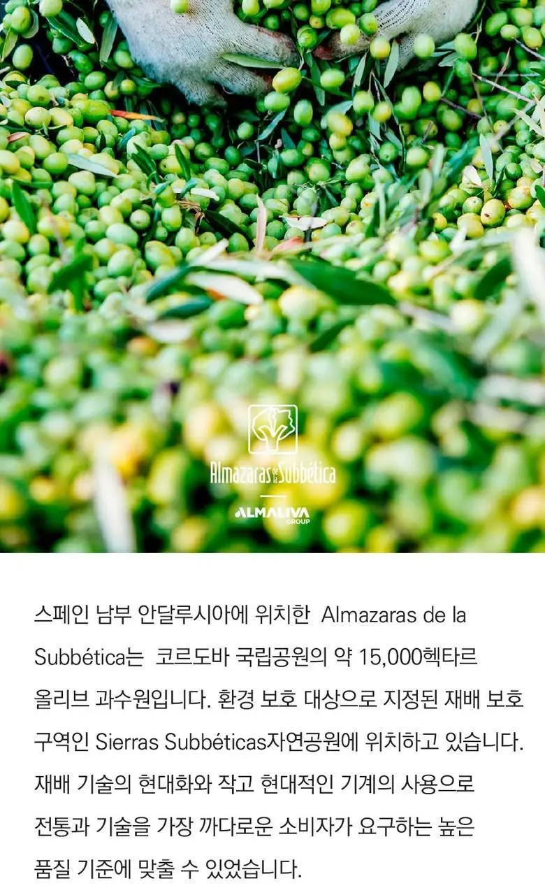 알마자라스 알마올리바 유기농 엑스트라버진 올리브오일 500ml 상세페이지 16