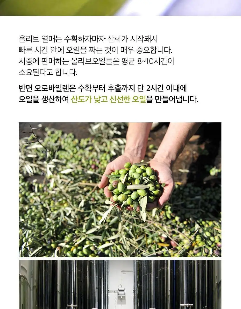 오로바일렌 엑스트라버진 올리브오일 100ml 오히블랑카 상세페이지 13