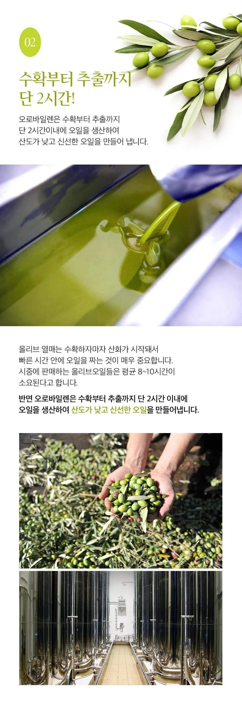 오로바일렌 엑스트라버진 올리브오일 100ml 프란토이오 상세페이지 5