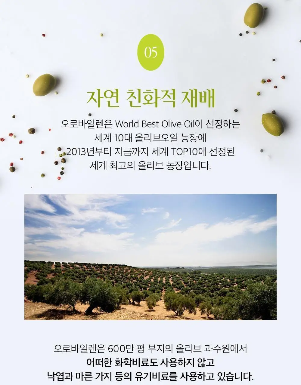 오로바일렌 엑스트라버진 올리브오일 100ml 피쿠알 상세페이지 20