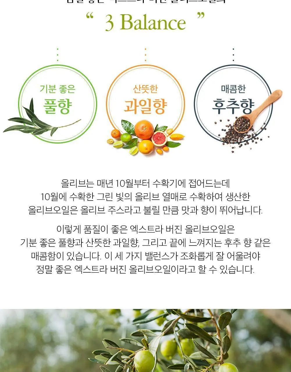 오로바일렌 엑스트라버진 올리브오일 250ml 아르베키나 상세페이지 3