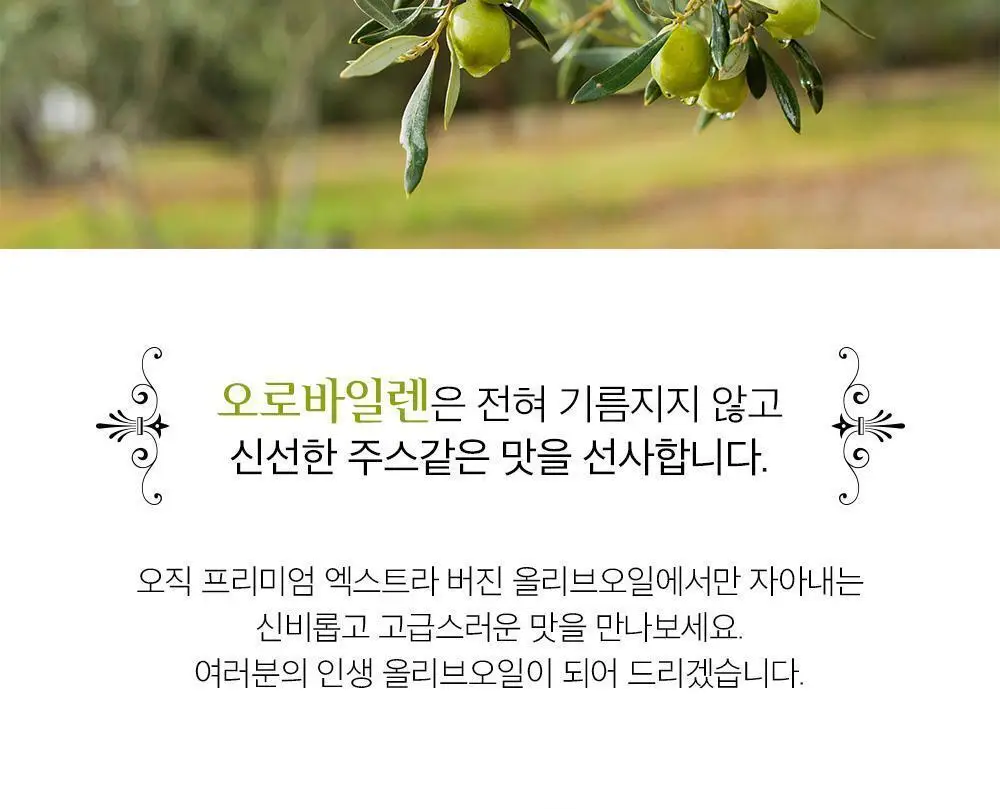 오로바일렌 엑스트라버진 올리브오일 500ml 피쿠알 상세페이지 4