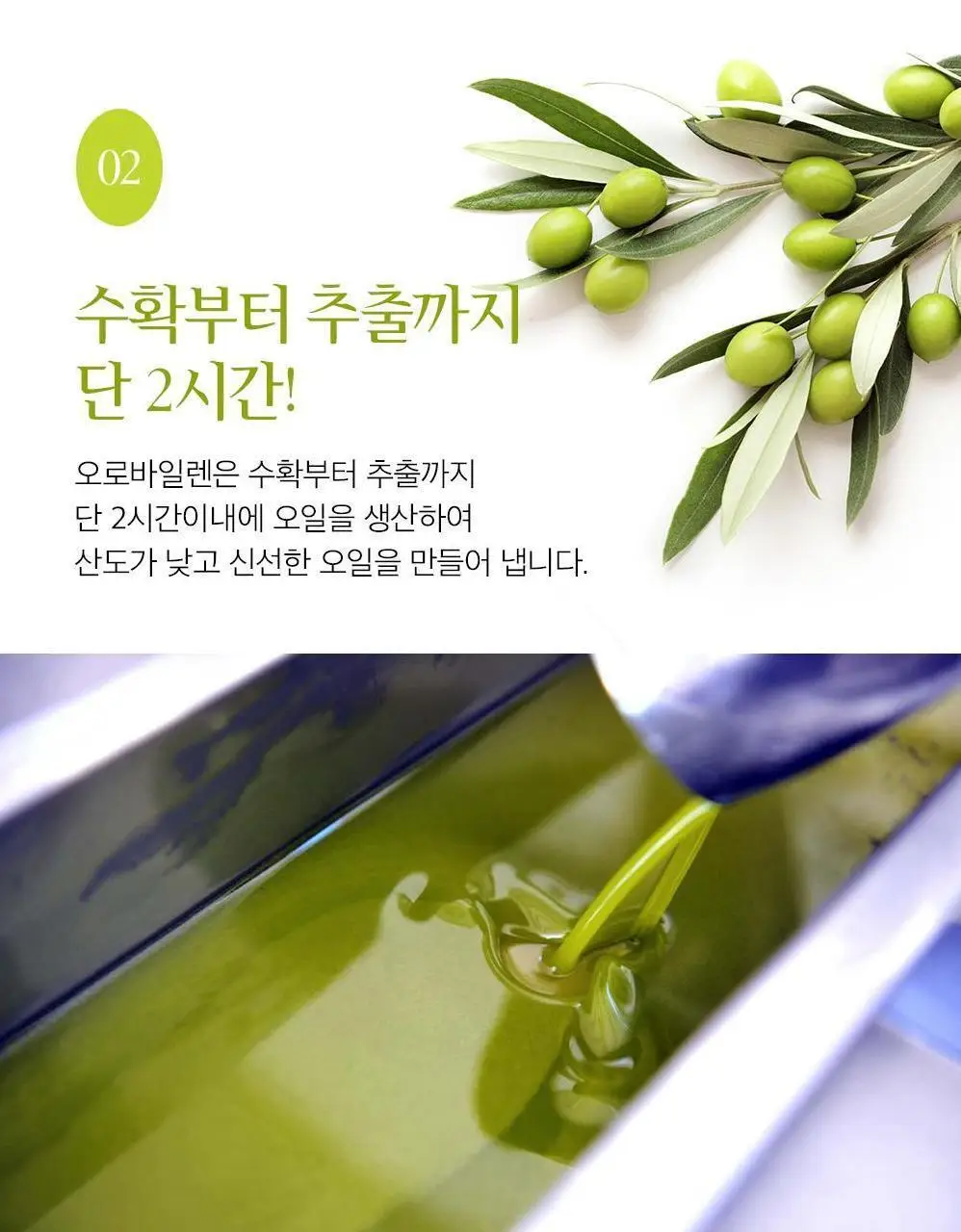 오로바일렌 엑스트라버진 올리브오일 500ml 피쿠알 상세페이지 12