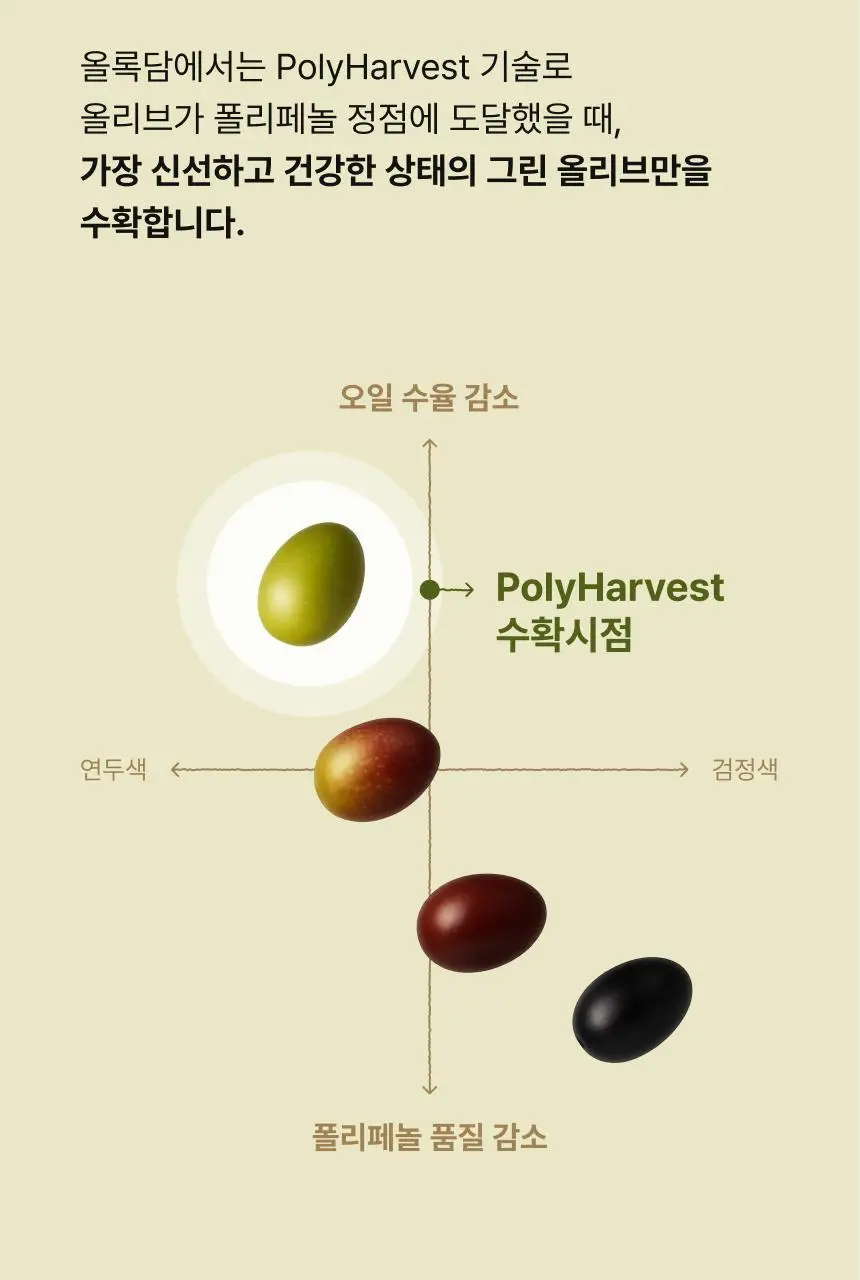 올록담 올리브3 30캡슐 (10일분) 상세페이지 28