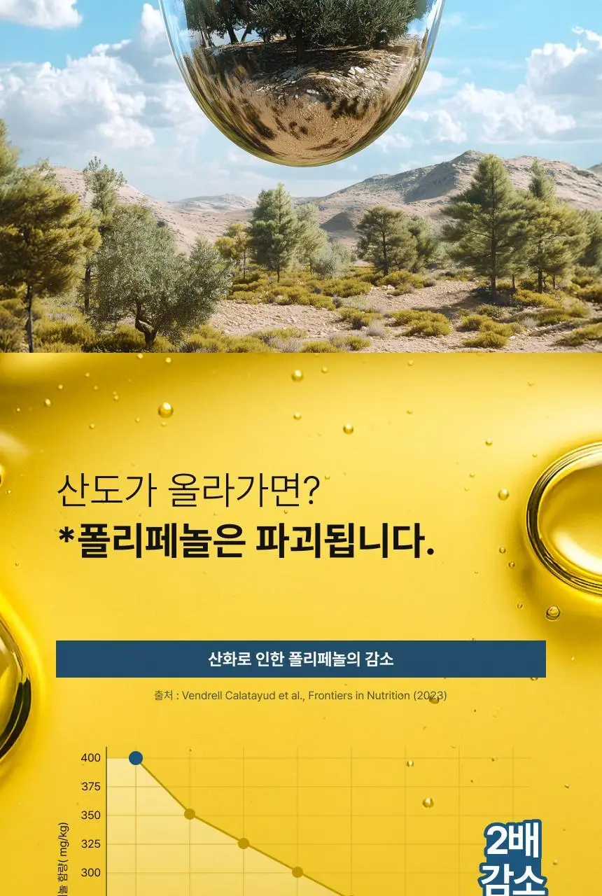 올록담 올리브3 30캡슐/72캡슐 2종 택1(10일분/24일분) 상세페이지 19