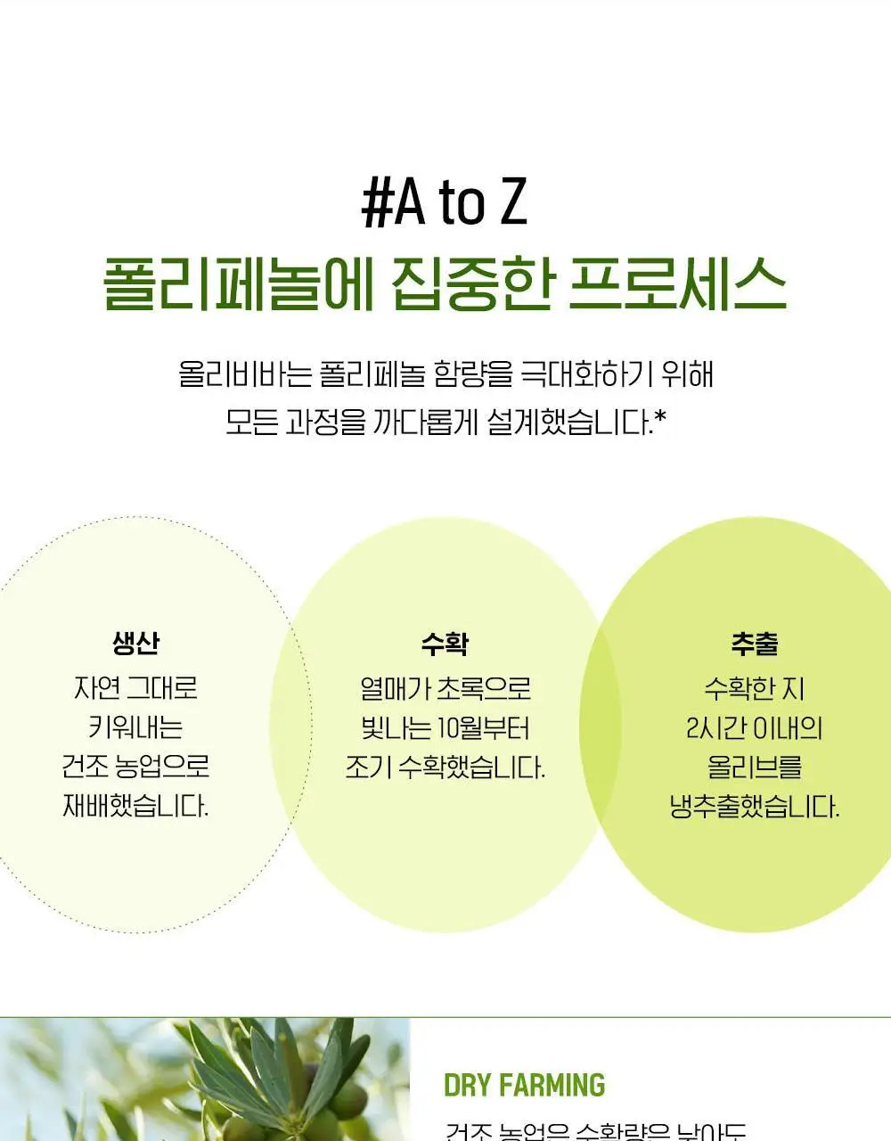 올리비바 엑스트라버진 올리브오일 10g 1개입 피쿠알 상세페이지 20