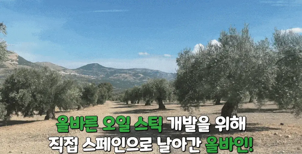 올비아 유기농 엑스트라버진 올리브오일 스틱형 15ml 7개입 코르니카브라 상세페이지 24