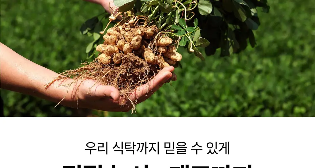 옳곡 땅콩버터 미니컵 크런치 160g 상세페이지 35
