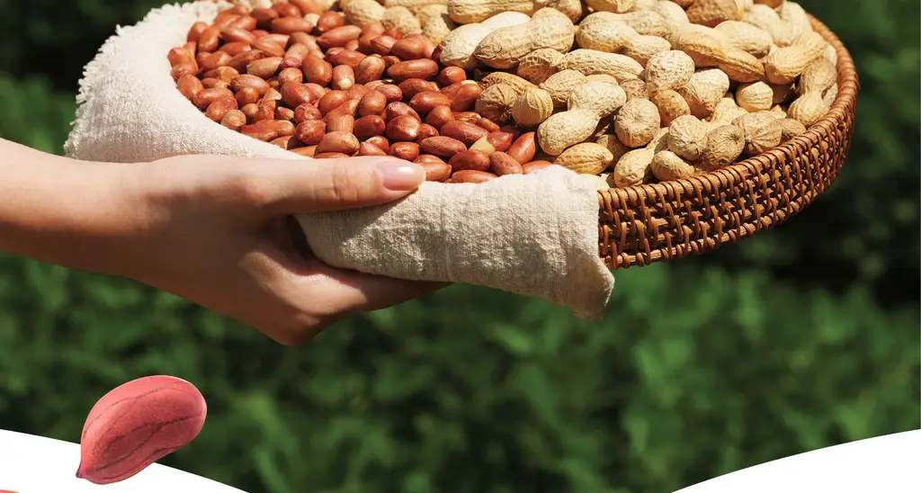 옳곡 땅콩버터 스무스 200g 상세페이지 16