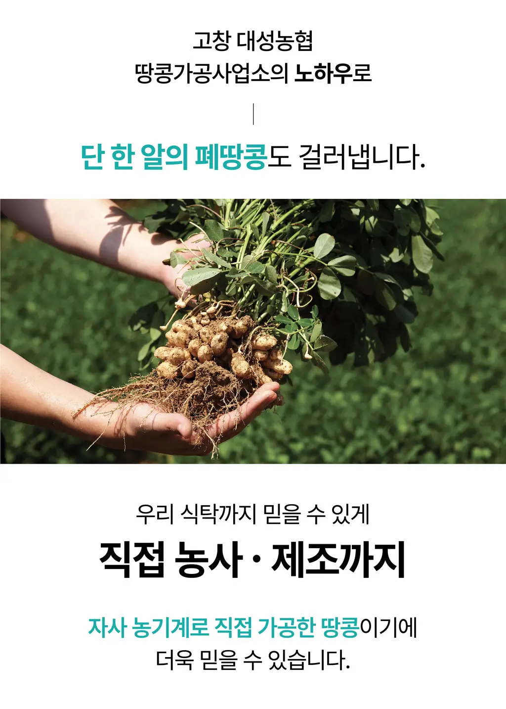 옳곡 땅콩버터 크런치 464g 상세페이지 7