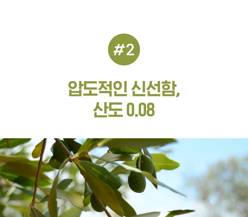 위타민 올리브 에 올리브 60캡슐 상세페이지 14