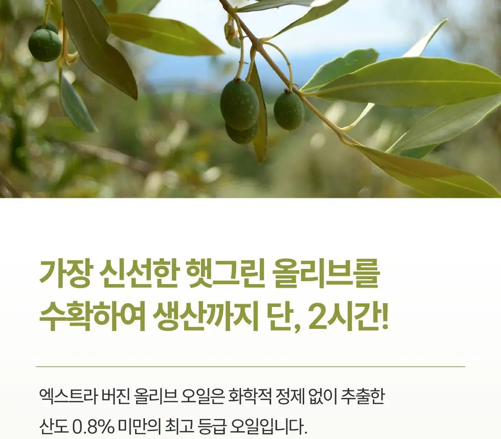 위타민 올리브 에 올리브 60캡슐 상세페이지 15