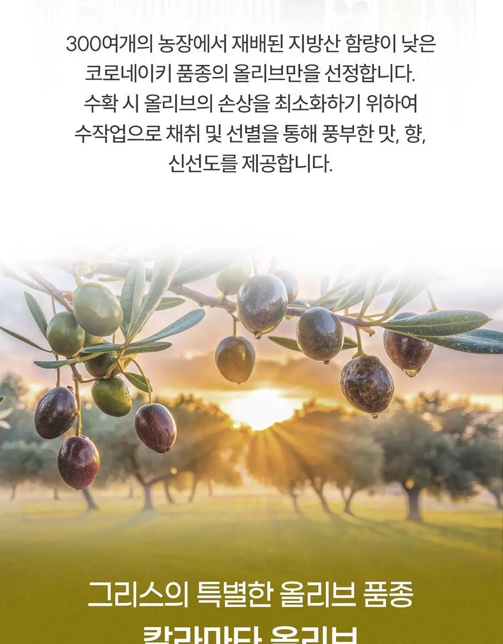 이리아다 칼라마타 엑스트라버진 올리브오일 스프레이 200ml 상세페이지 3