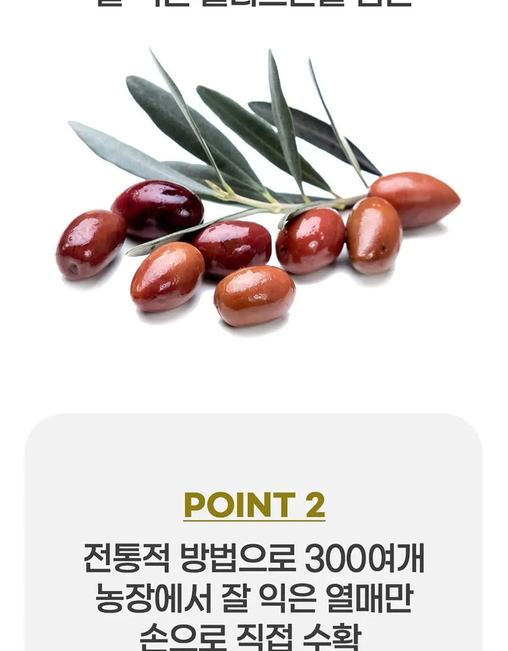 이리아다 칼라마타 엑스트라버진 올리브오일 스프레이 200ml 상세페이지 9