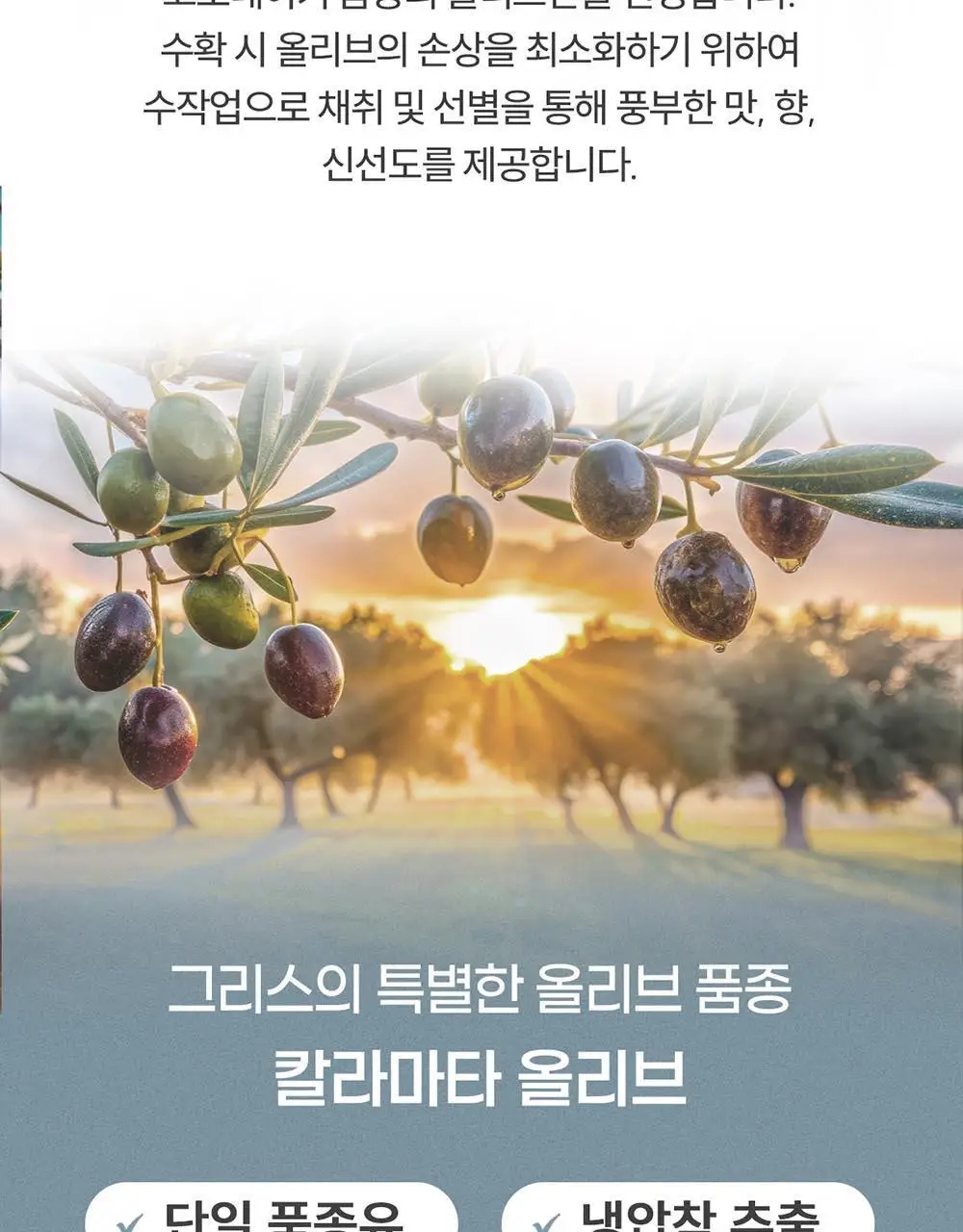 이리아다 칼라마타 엑스트라버진 올리브오일 실버틴 500ml 상세페이지 3