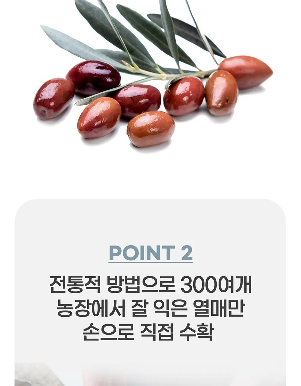 이리아다 칼라마타 엑스트라버진 올리브오일 실버틴 500ml 상세페이지 9