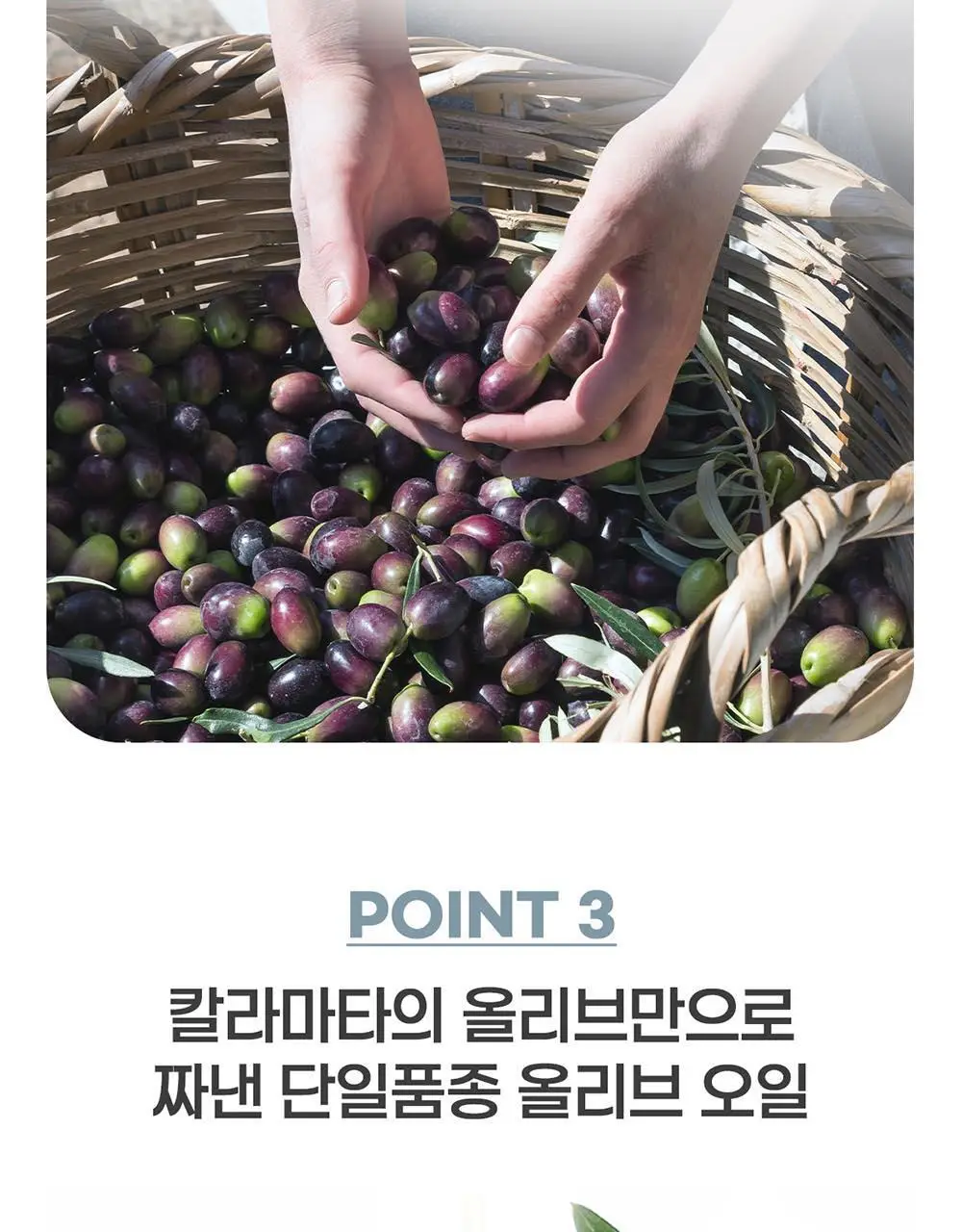 이리아다 칼라마타 엑스트라버진 올리브오일 실버틴 500ml 상세페이지 10