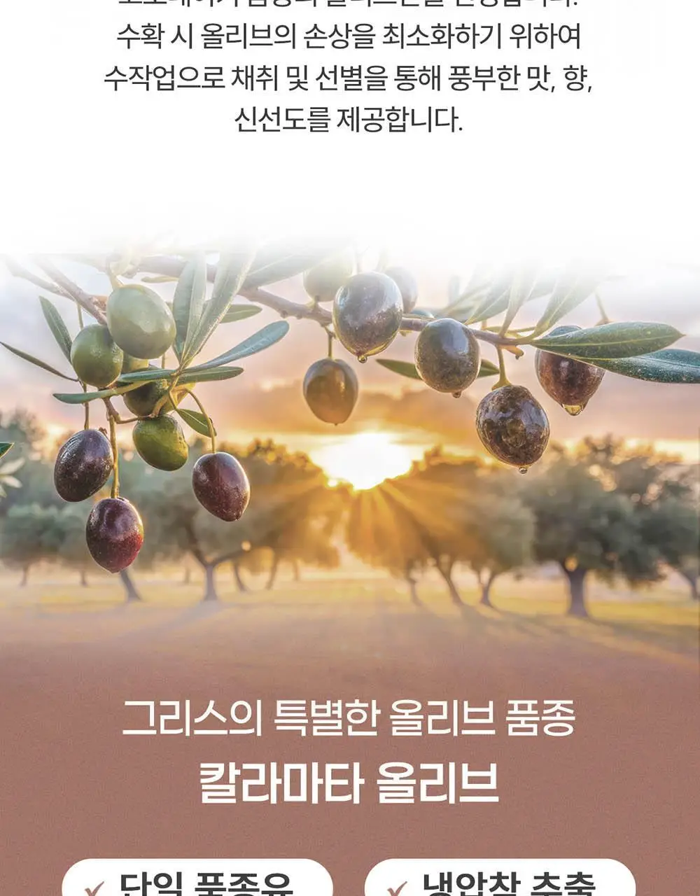 이리아다 칼라마타 엑스트라버진 올리브오일 100ml 상세페이지 3
