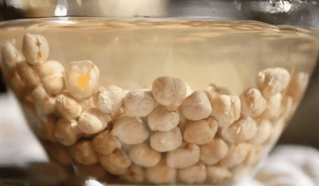 자유 밀키프로틴연유 430g (냉장) 상세페이지 15