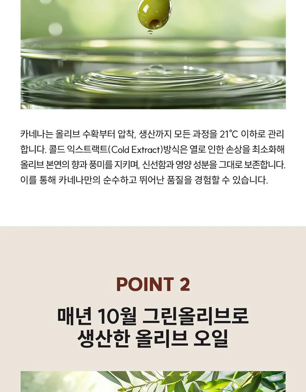 카스티요 데 카네나 엑스트라버진 올리브오일 250ml 아르베키나 상세페이지 5