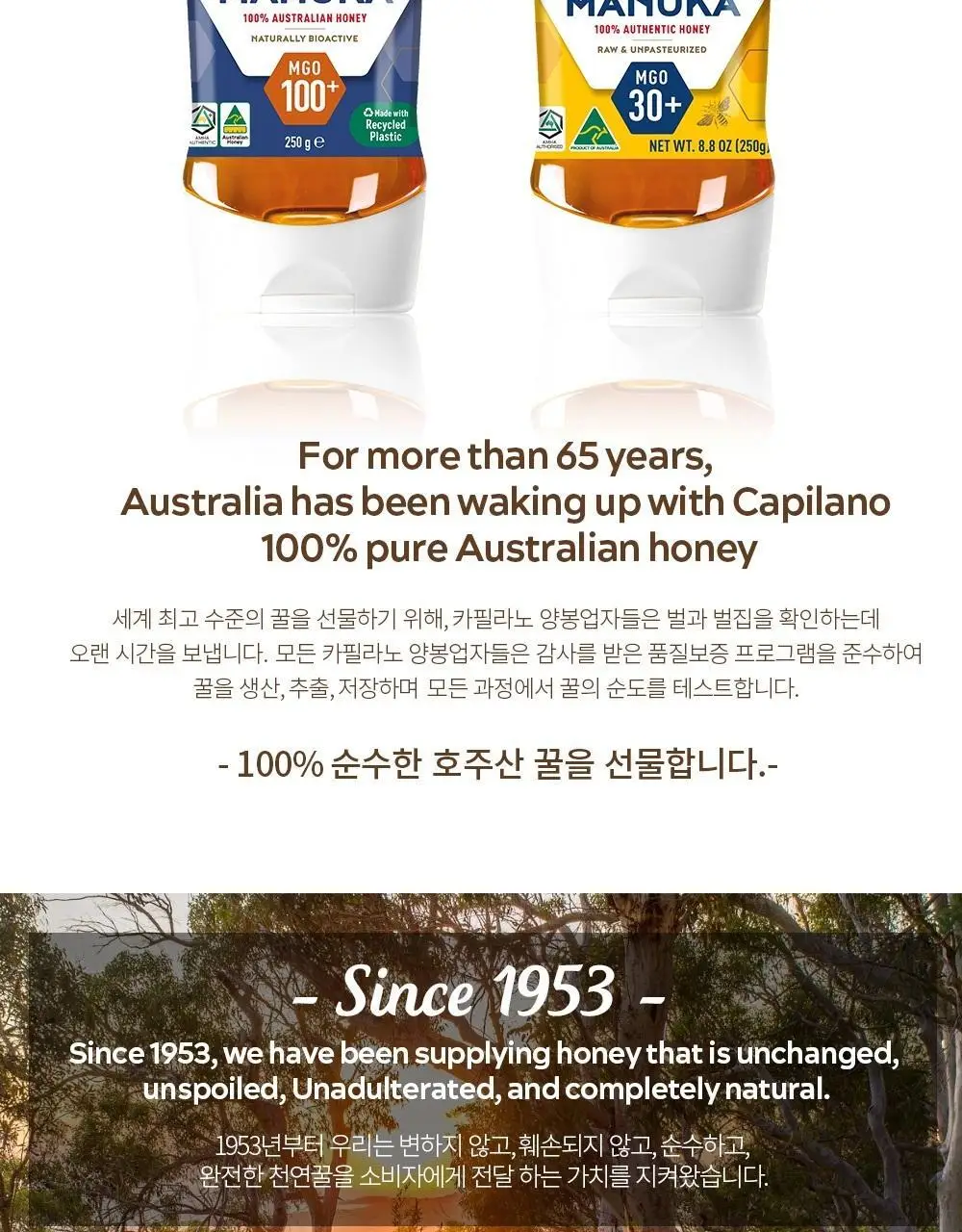 카필라노 마누카꿀 250g MGO 100+ 상세페이지 2