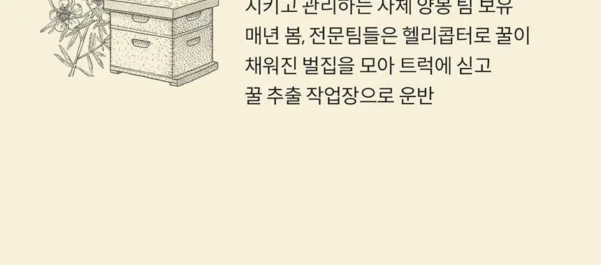 콤비타 UMF10+ 마누카꿀 250g 상세페이지 24