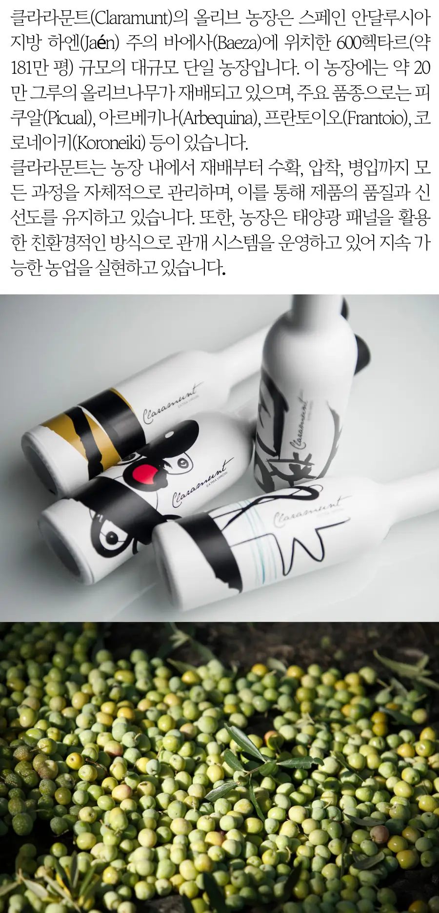 클라라문트 엑스트라버진 올리브오일 250ml 아르베키나 상세페이지 2