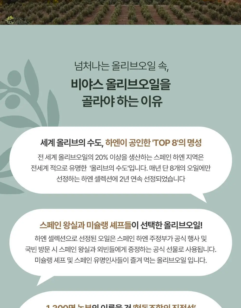 푸에르타 데 라스 비야스 엑스트라버진 올리브오일 250ml 얼리하베스트 상세페이지 3