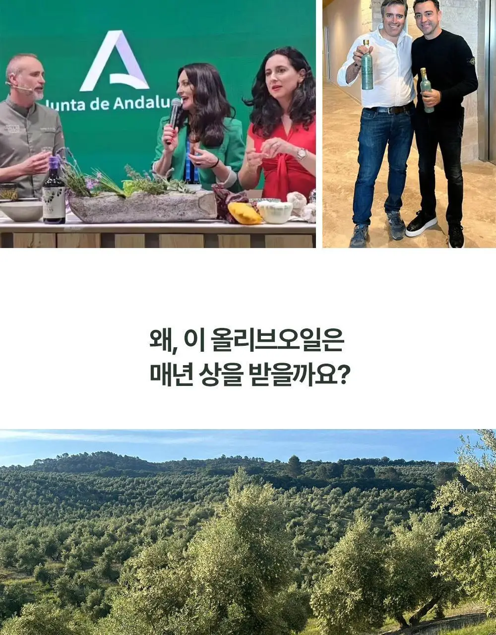 푸에르타 데 라스 비야스 엑스트라버진 올리브오일 250ml 얼리하베스트 상세페이지 5