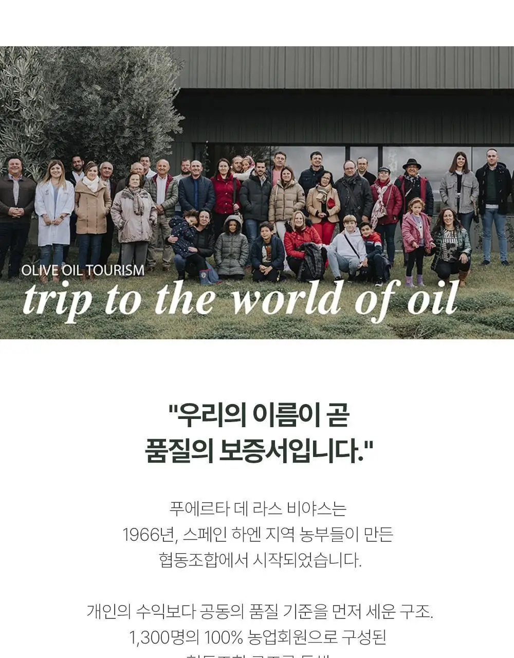 푸에르타 데 라스 비야스 엑스트라버진 올리브오일 250ml 얼리하베스트 상세페이지 7