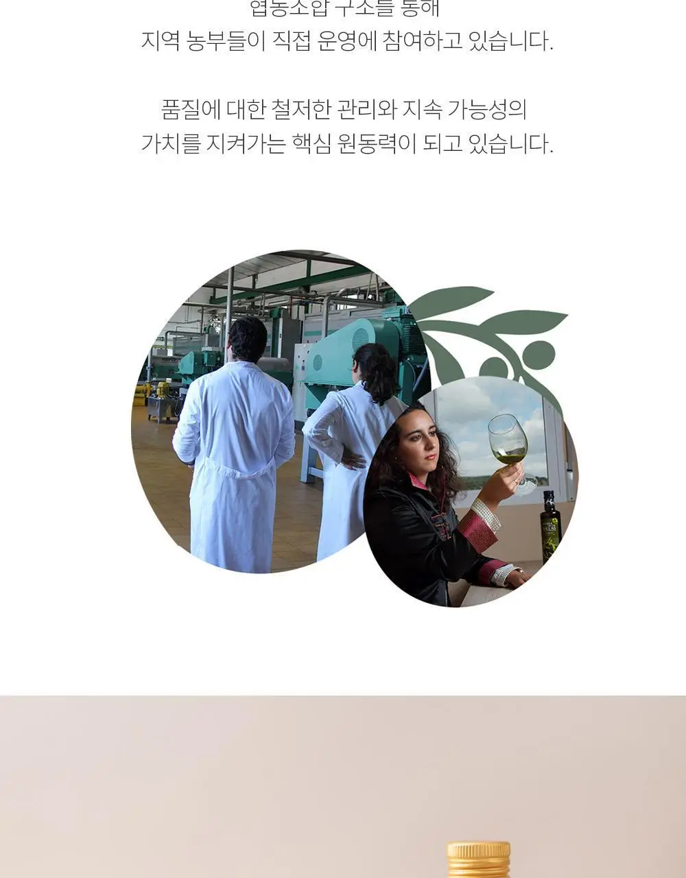 푸에르타 데 라스 비야스 엑스트라버진 올리브오일 250ml 얼리하베스트 상세페이지 8