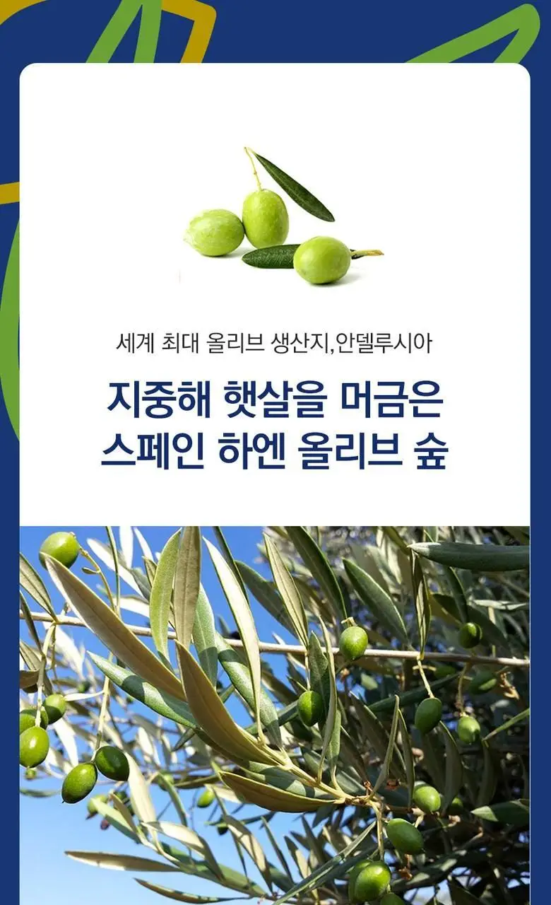 피쿠알리아 프리미엄 엑스트라버진 올리브오일 500ml (온) 상세페이지 4