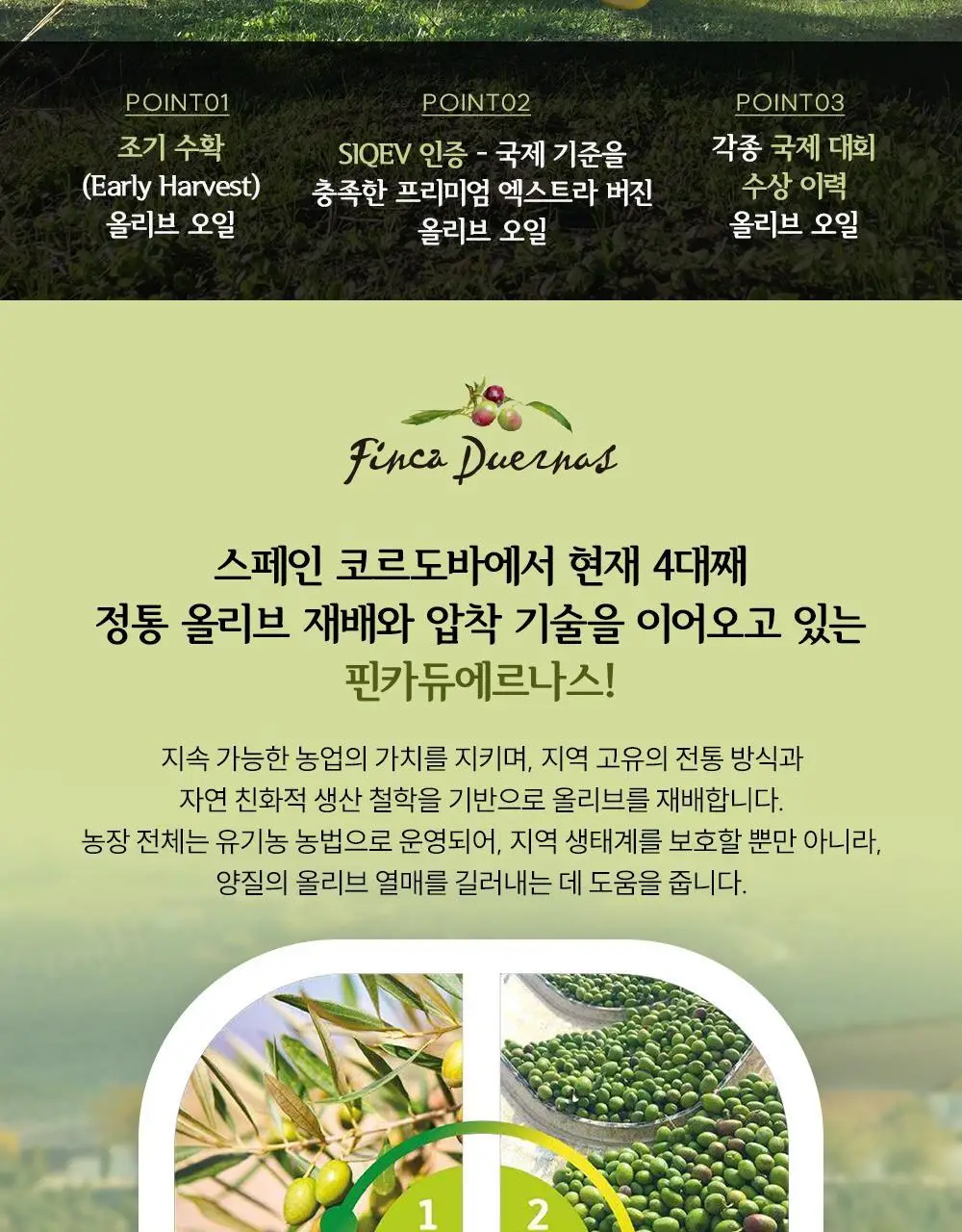 핀카듀에르나스 유기농 엑스트라버진 올리브오일 500ml 아르베키나 상세페이지 2