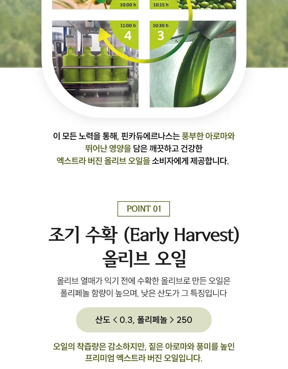 핀카듀에르나스 유기농 엑스트라버진 올리브오일 500ml 아르베키나 상세페이지 3