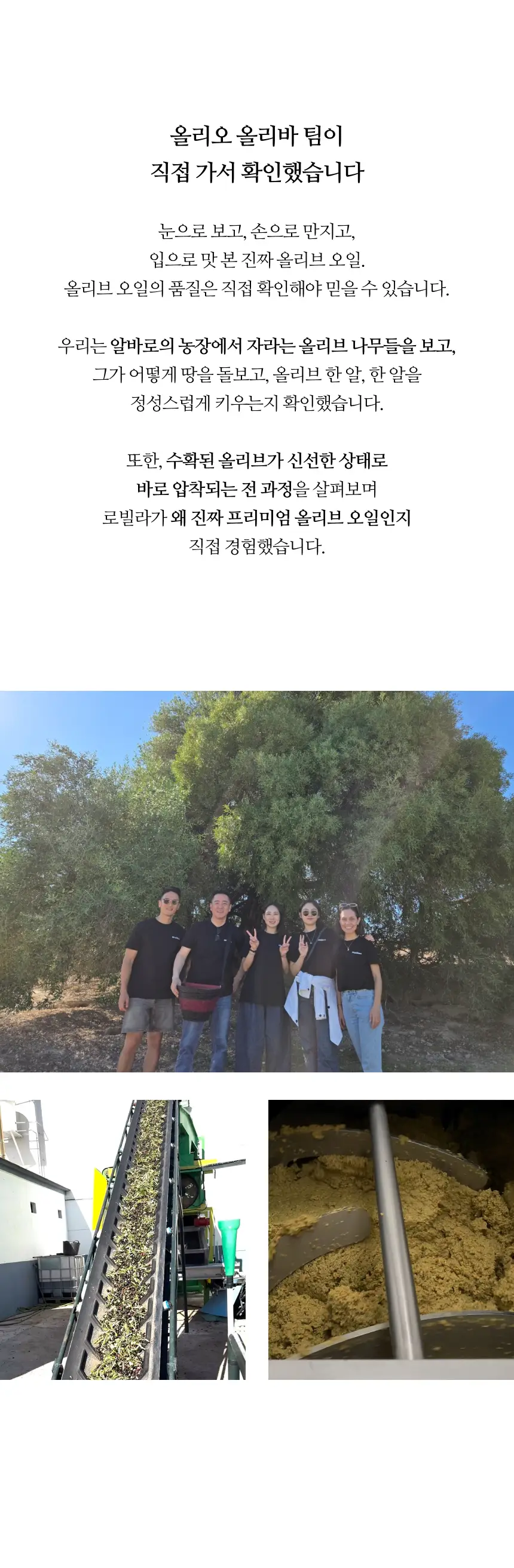 헤리자 데 라 로빌라 엑스트라버진 올리브오일 100ml 오히블랑카 상세페이지 7