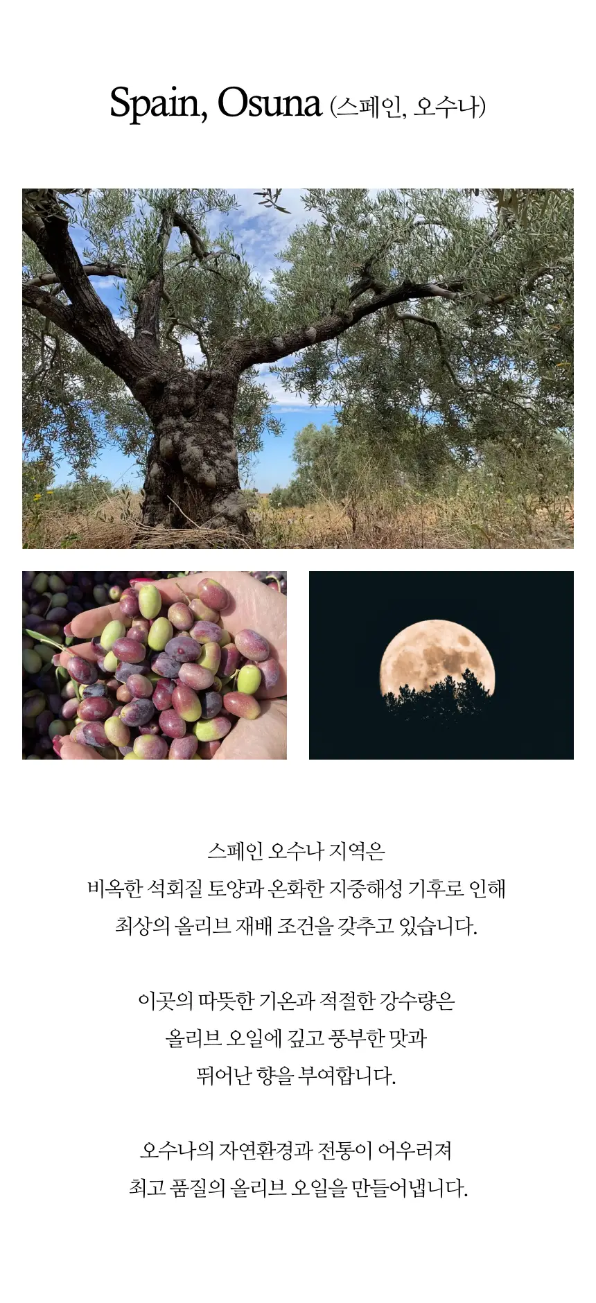 헤리자 데 라 로빌라 엑스트라버진 올리브오일 100ml 오히블랑카 상세페이지 8