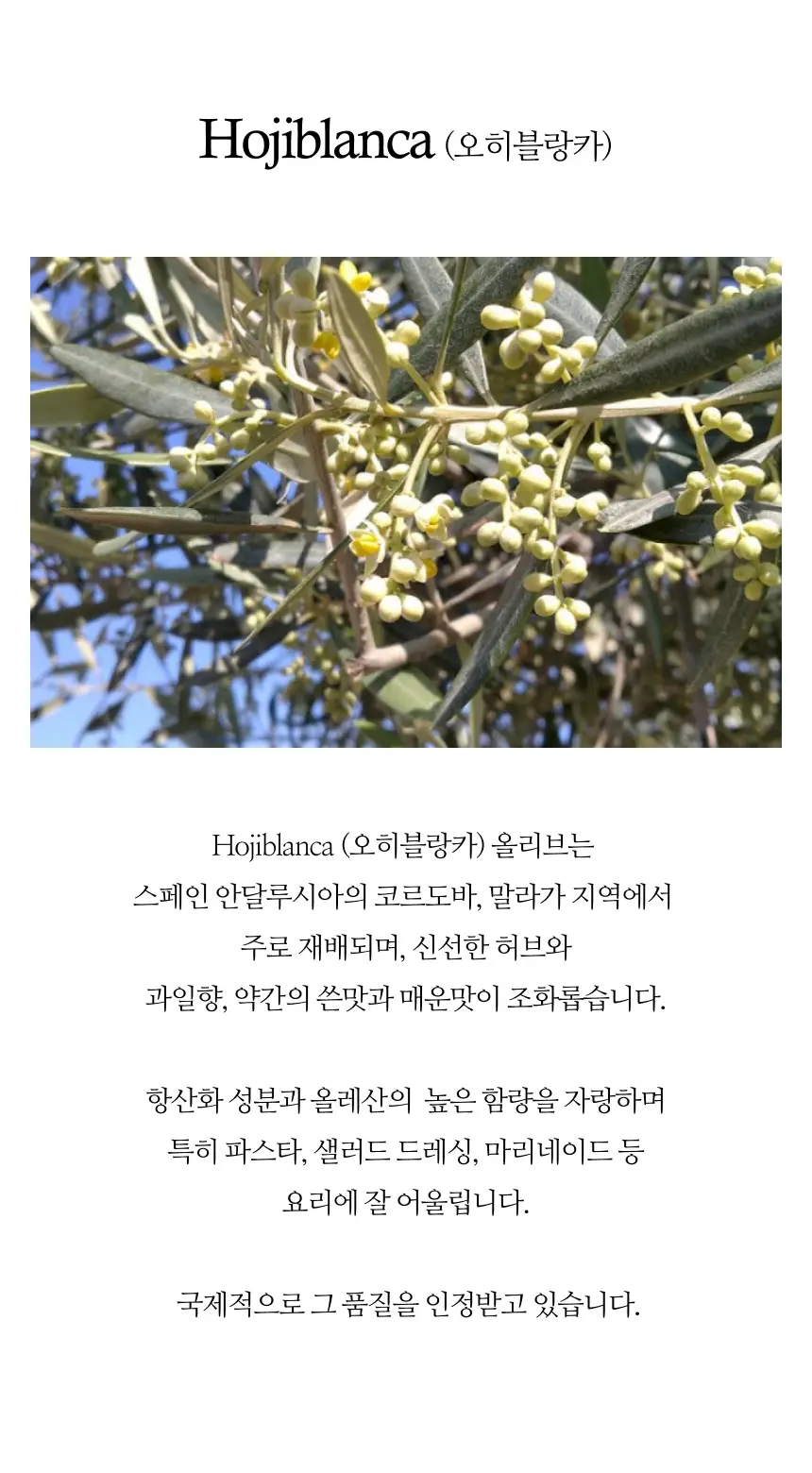 헤리자 데 라 로빌라 엑스트라버진 올리브오일 100ml 오히블랑카 상세페이지 9