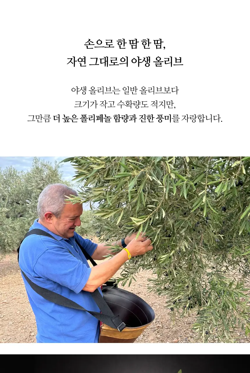 헤리자 데 라 로빌라 엑스트라버진 올리브오일 500ml 레친 앤 아체부체 상세페이지 9