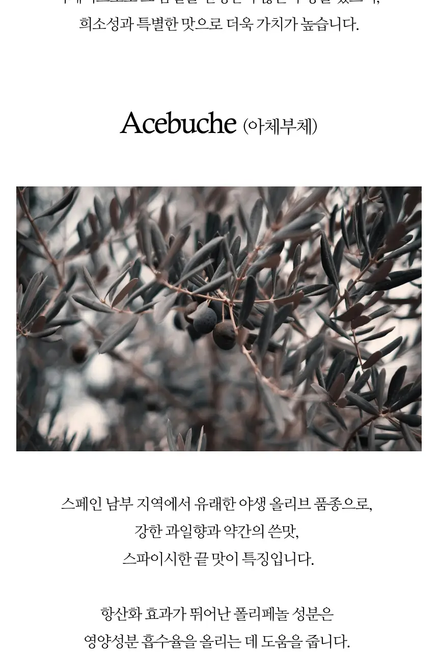 헤리자 데 라 로빌라 엑스트라버진 올리브오일 500ml 레친 앤 아체부체 상세페이지 20