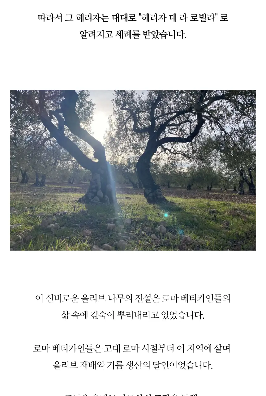 헤리자 데 라 로빌라 엑스트라버진 올리브오일 500ml 오히블랑카 상세페이지 24