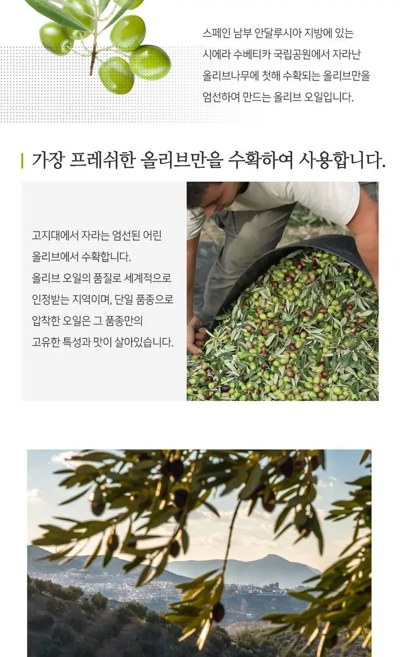 히스파수르 엑스트라버진 올리브오일 골드 250ml 상세페이지 5