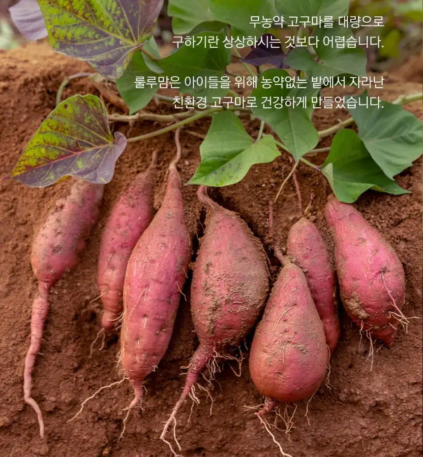 룰루맘 리얼구마 20g 3종 택1(오리지널,딸기,치즈) 상세페이지 8