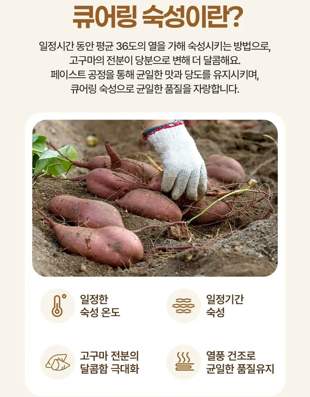 이더스 국내산 무농약 고구마에 칼슘을 넣은 황금 고구마바 20g 1개입 상세페이지 10
